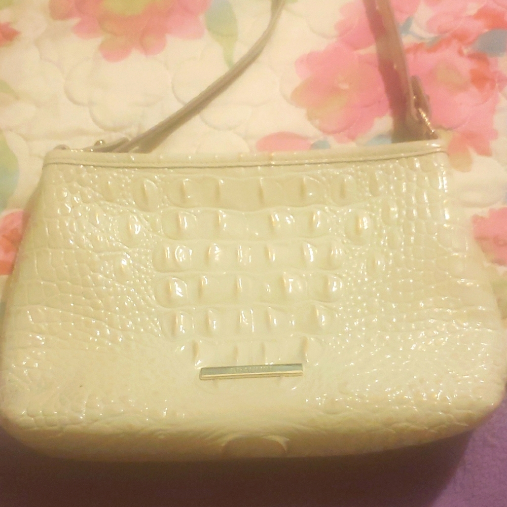 Brahmin Bag